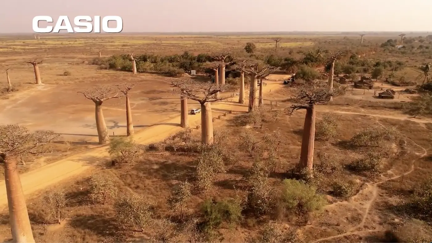 Aerial view of the Avenue of the Baobabs from a Casio commercial filmed in Madagascar